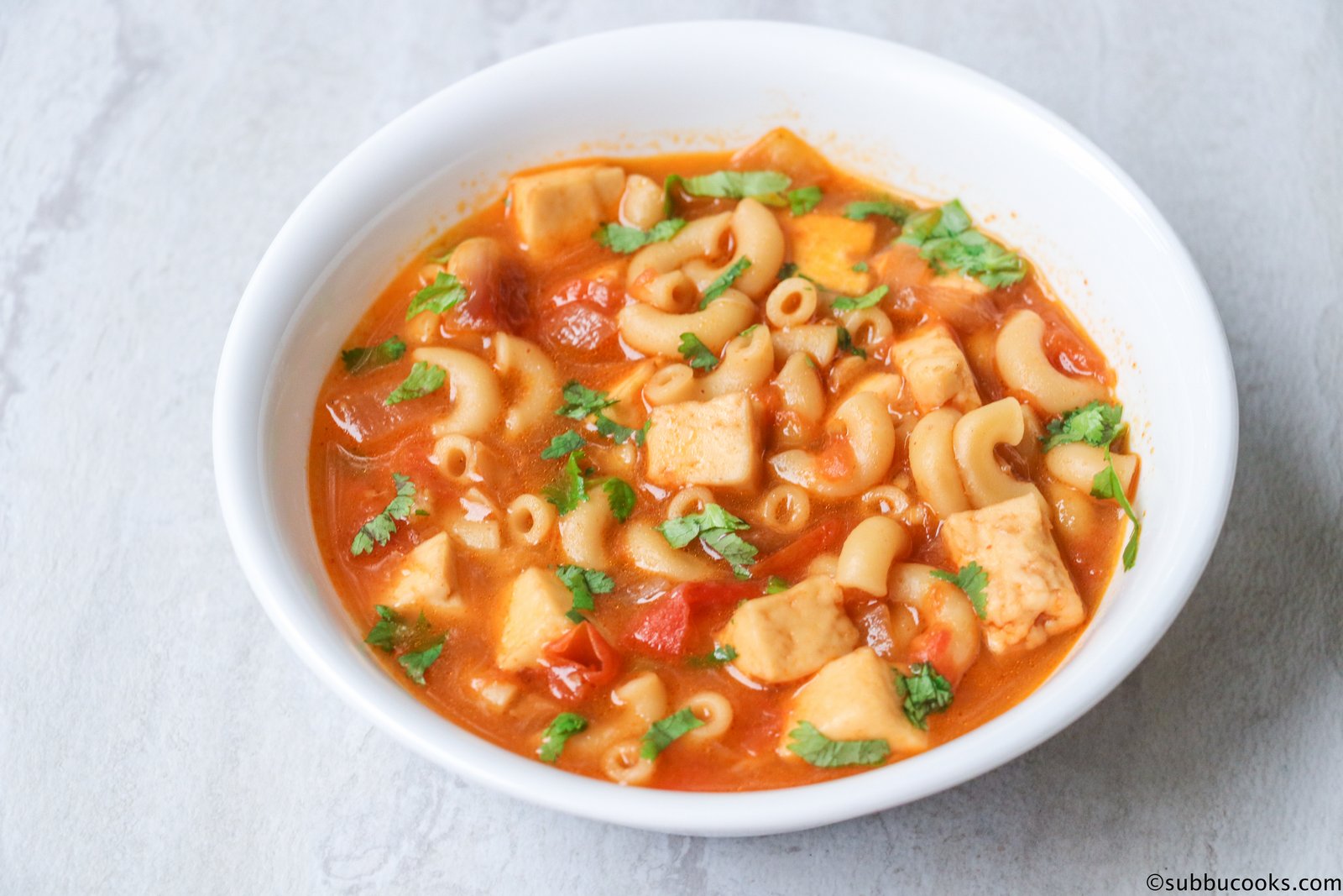 Best Pasta Paneer Soup – Instant pot