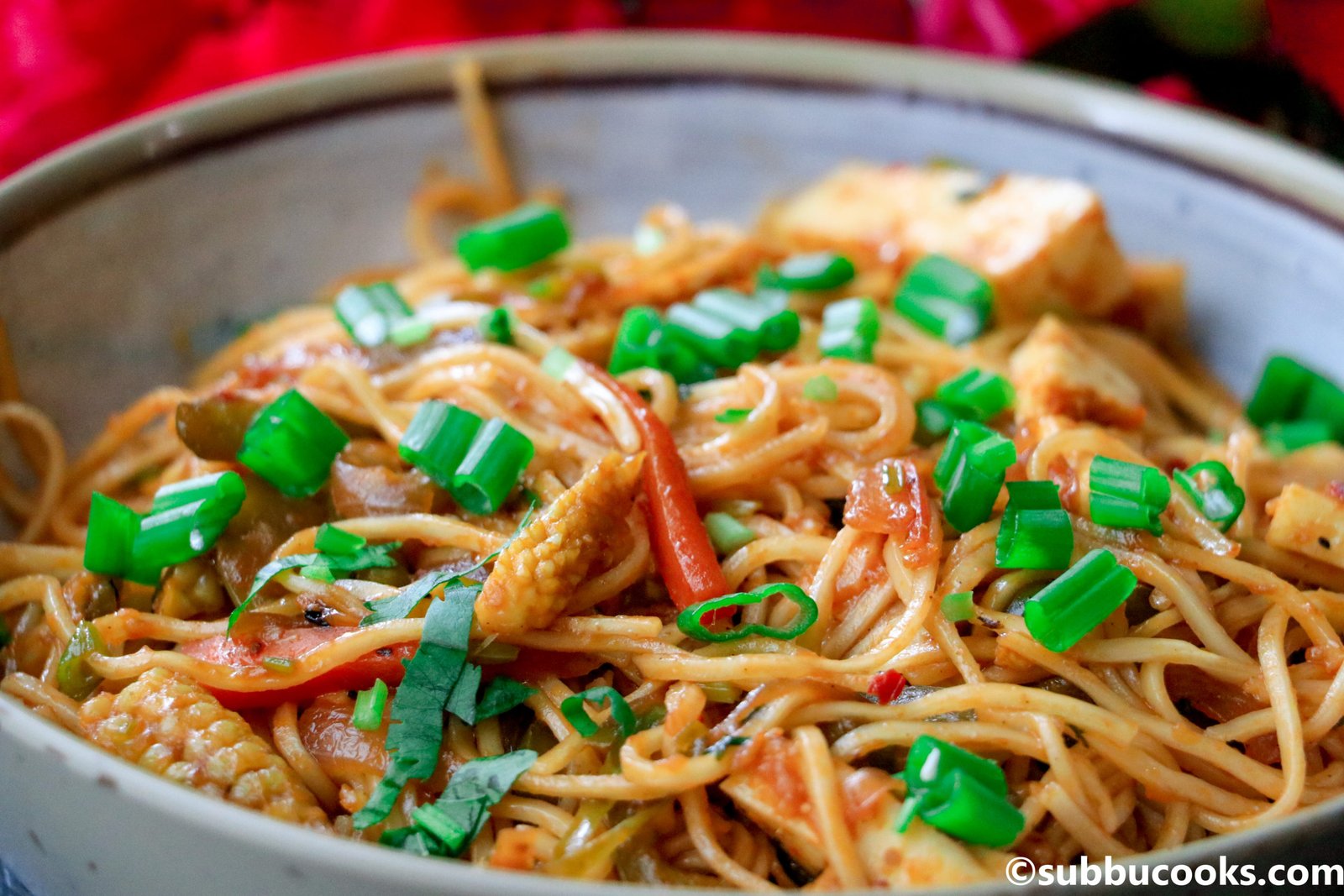 mixed-hakka-noodles-veg-hakka-noodles-by-amitroy-quick-easy