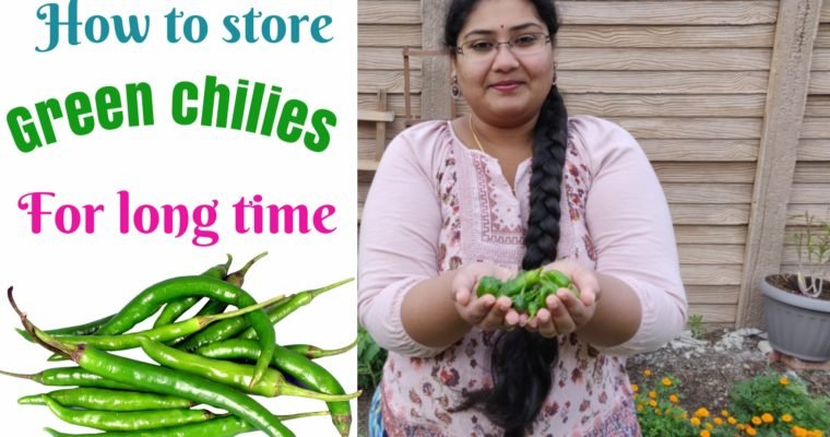 How to store Green chilies for longer time-100 % Works with results
