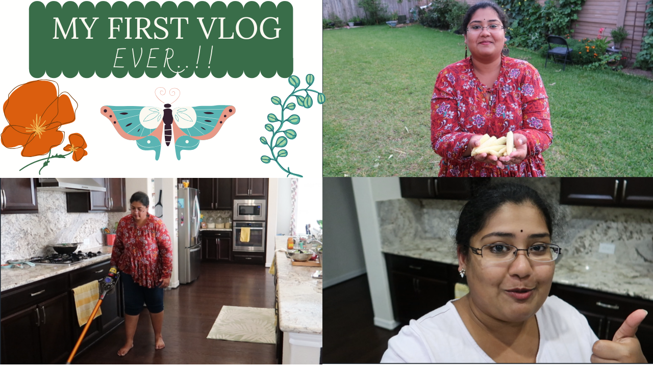 My First Vlog.! Indian Vlogger Subbucooks